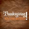 2010 Thanksgiving | you are blessed