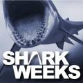Shark Weeks - Uncertainty