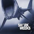 Shark Weeks - Dont Worry... Seek